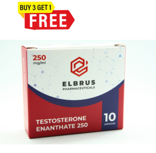 Elbrus Testosterone Enanthate 250