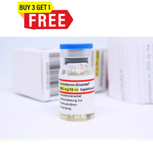 Elbrus Testosterone Enanthate 300 (10 ml Vial)
